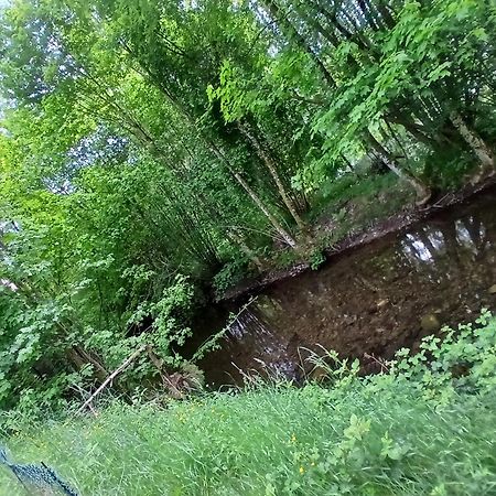 Gite De L'Ours Saint-Maurice-sur-Moselle Exterior foto