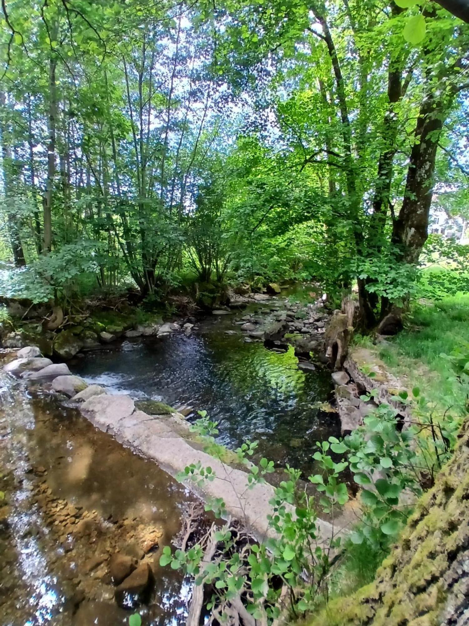 Gite De L'Ours Saint-Maurice-sur-Moselle Exterior foto